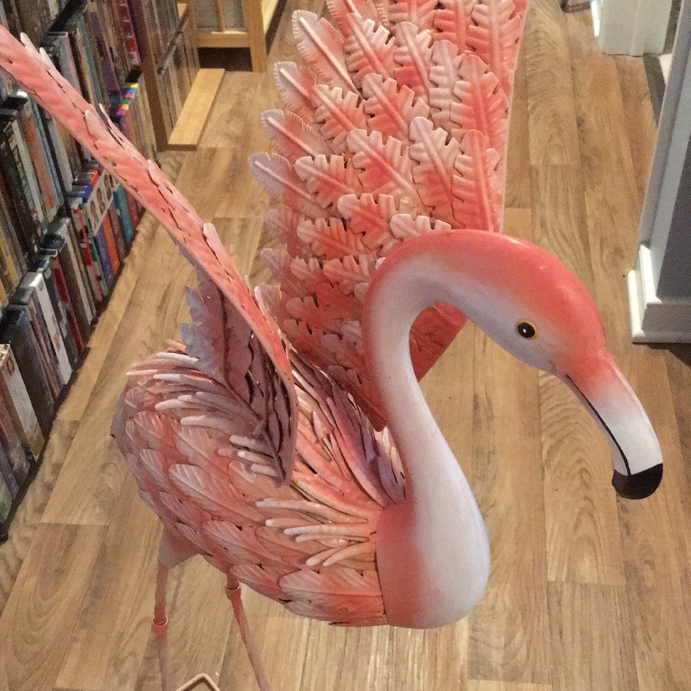 Pier One Flamingo